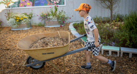 Young child wearing shorts, a T-shirt, and an orange hat, pushing a wheelbarrow filled with mulch.