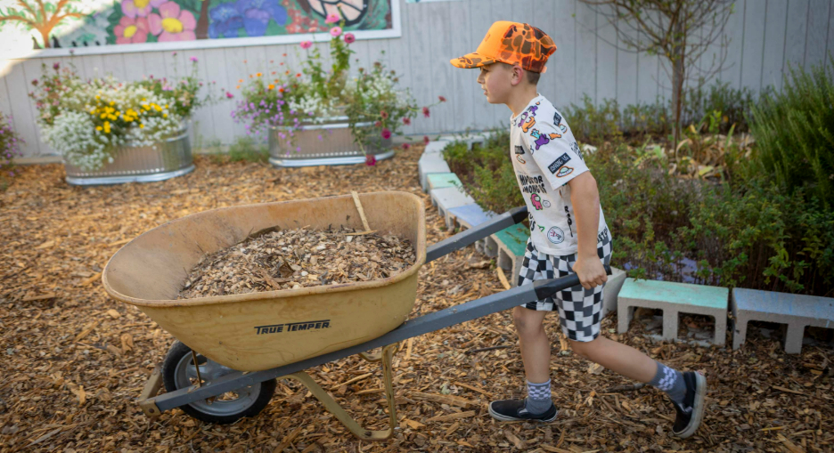 Young child wearing shorts, a T-shirt, and an orange hat, pushing a wheelbarrow filled with mulch.